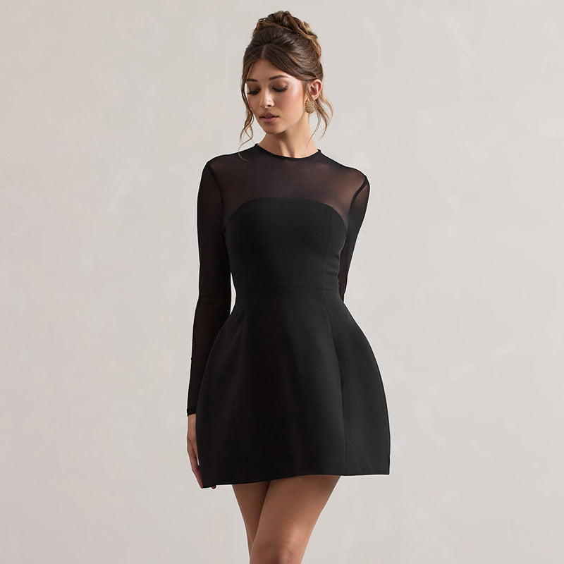 Sheer Mesh Yoke Long Sleeve Fit and Flare Skater Mini Dress 3