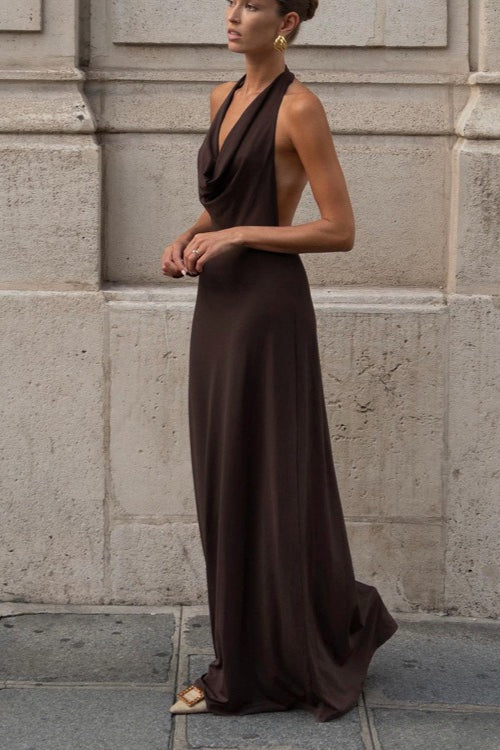 Brown Halter Backless Maxi Dress 2
