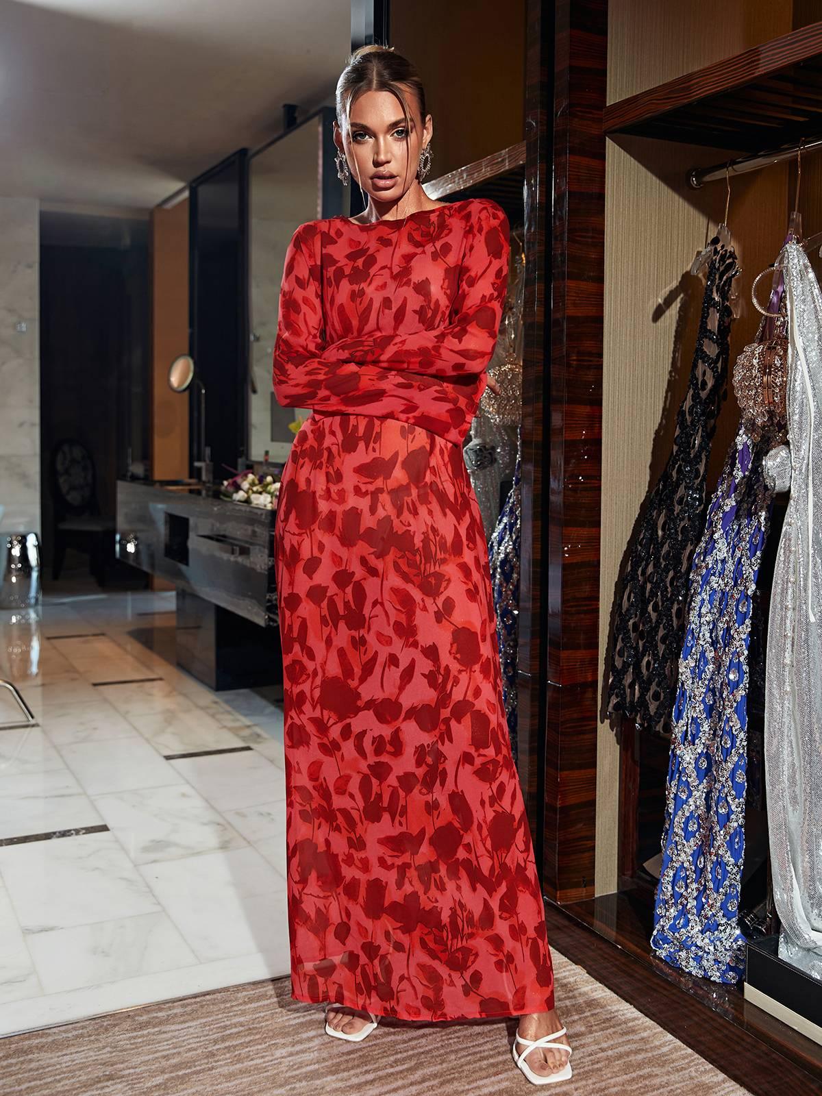 Print Mesh Long Sleeve High Neck Maxi Dress 2