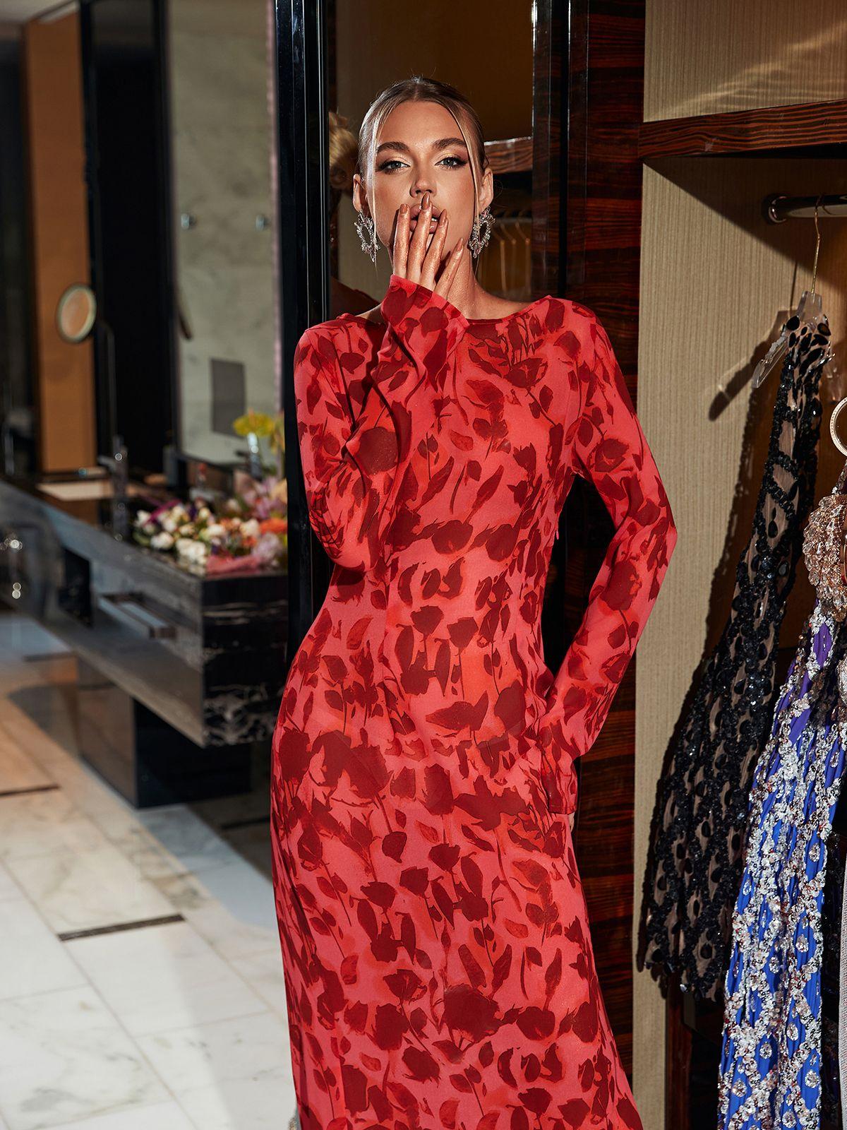 Print Mesh Long Sleeve High Neck Maxi Dress 4