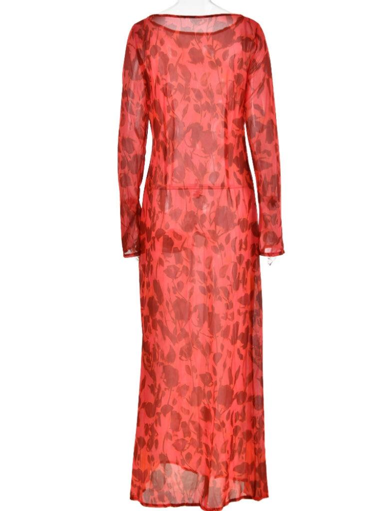 Print Mesh Long Sleeve High Neck Maxi Dress 6