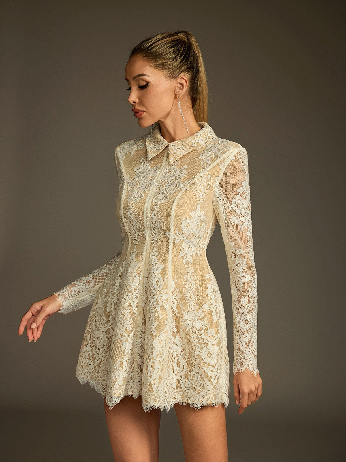 Pointed Collar Lace Overlay Long Sleeve Paneled Fit Flare Mini Dress 5