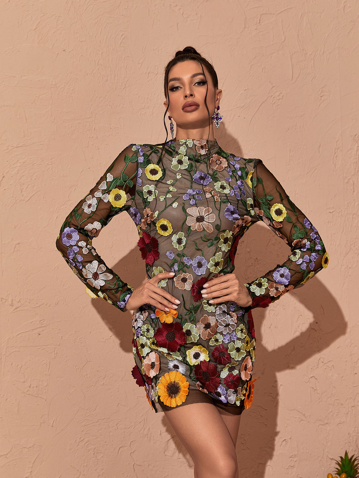 Crew Neck Long Sleeve Mesh Floral Applique Mini Dress 4