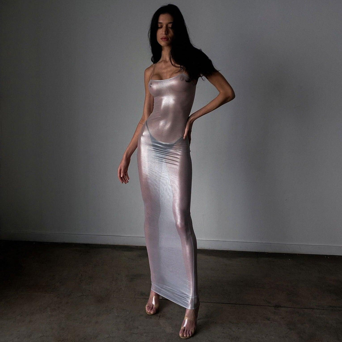 Sheer Metallic Mesh Long Sleeve High Neck Maxi Dress 2