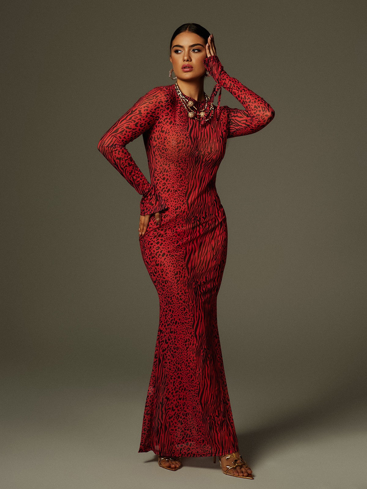 Long Sleeve Backless Print Mesh Column Maxi Dress 5