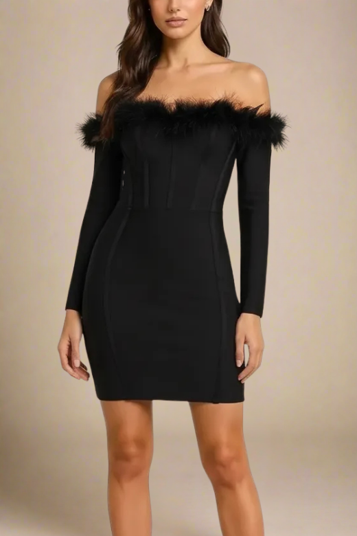 Classic Black Off Shoulder Feather Trim Long Sleeve Bustier Corset Mini Dress