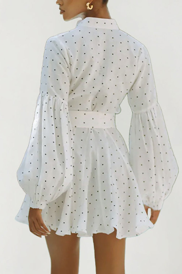 Polka Dot Mandarin Collar Button Front Lantern Sleeve Belted Mini Dress 3