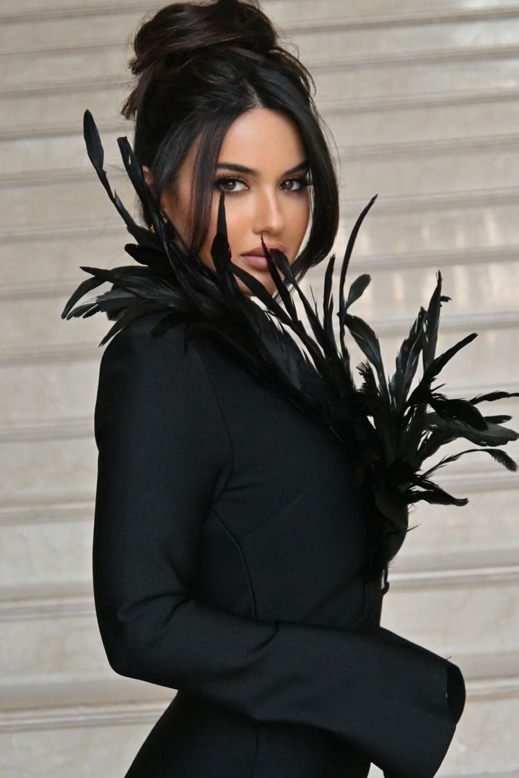 Feather Shoulder Deep V Mesh Panel Long Sleeve Mini Dress 3