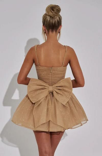 Sequin Corset Sweetheart Neckline Bow Back Fit And Flare Mini Dress 6