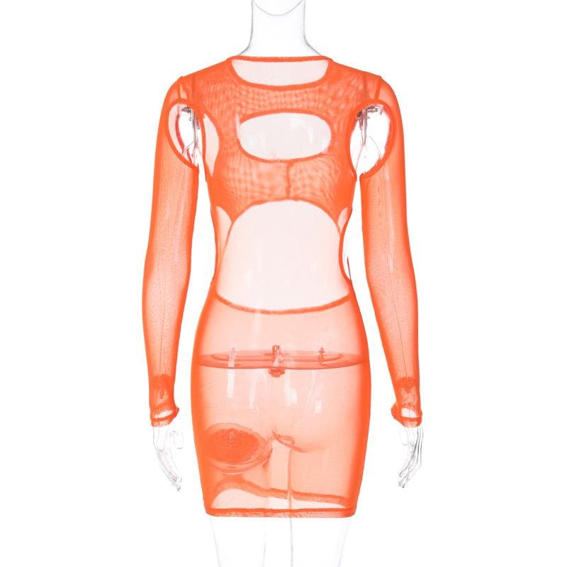 Hollow Out Sheer Mesh High Neck Long Sleeve Cutout Mini Dress 4