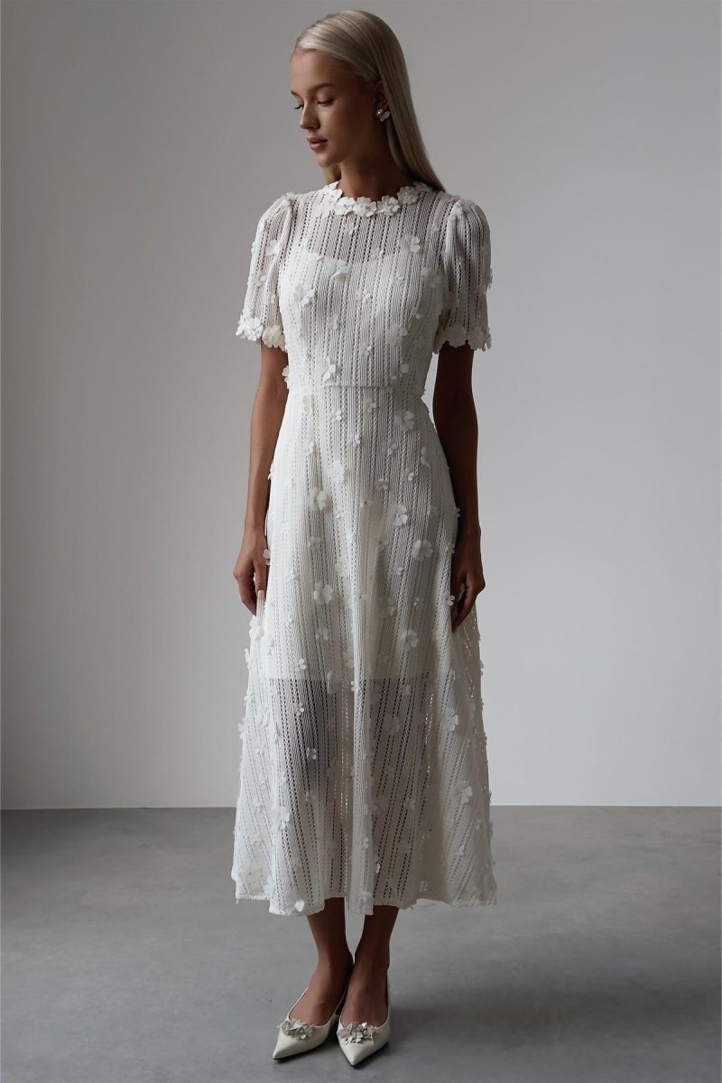3D Floral Appliqué Pearl Trim Crew Neck Lace Texture Fit and Flare Midi Dress 3