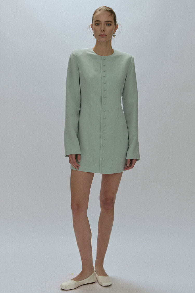 Crew Neck Single Breasted Button Front Princess Seam Mini Dress 2