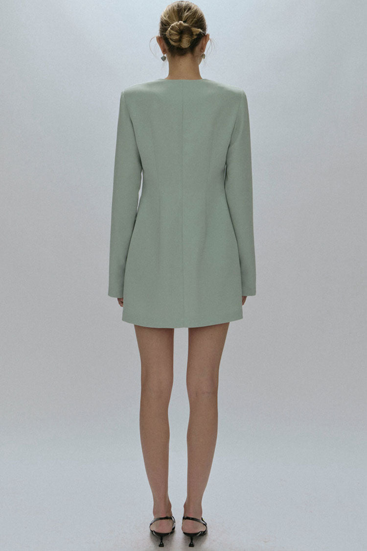 Crew Neck Single Breasted Button Front Princess Seam Mini Dress 4