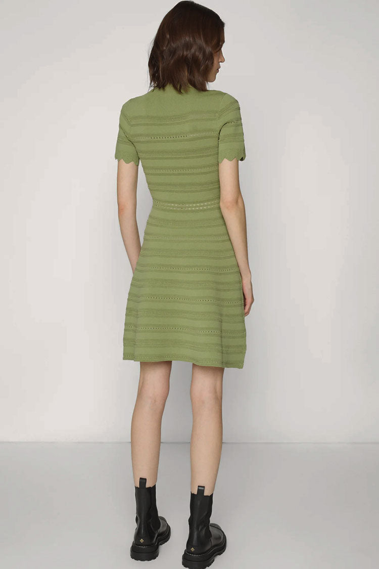 Scalloped V-Neck Henley Button Pointelle Knit Mini Sweater Dress 3