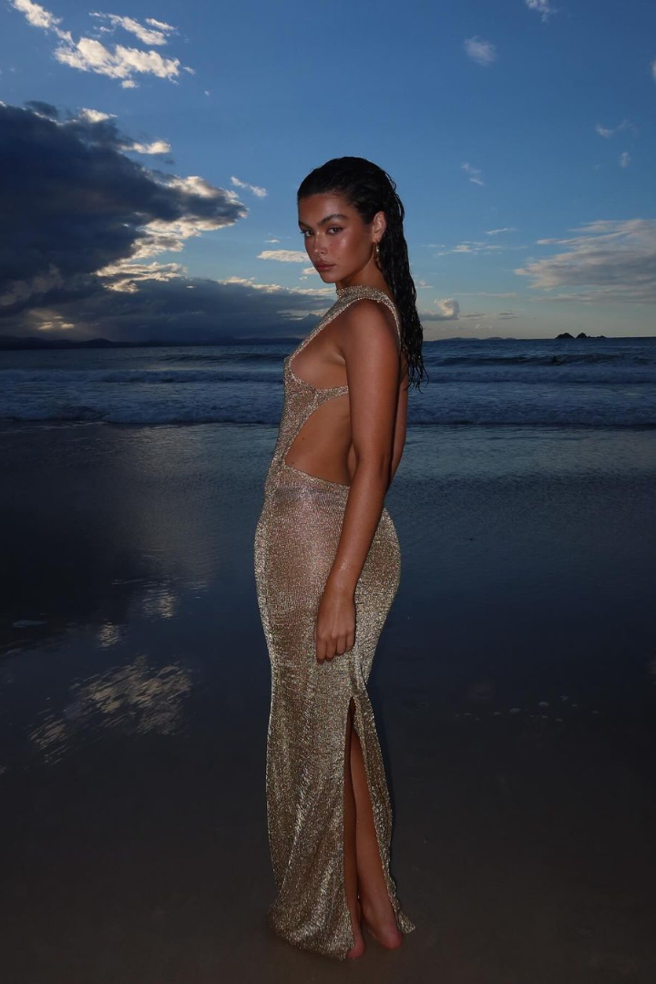 High Neck Mesh Open Back Side Cutout High Slit Maxi Gown
