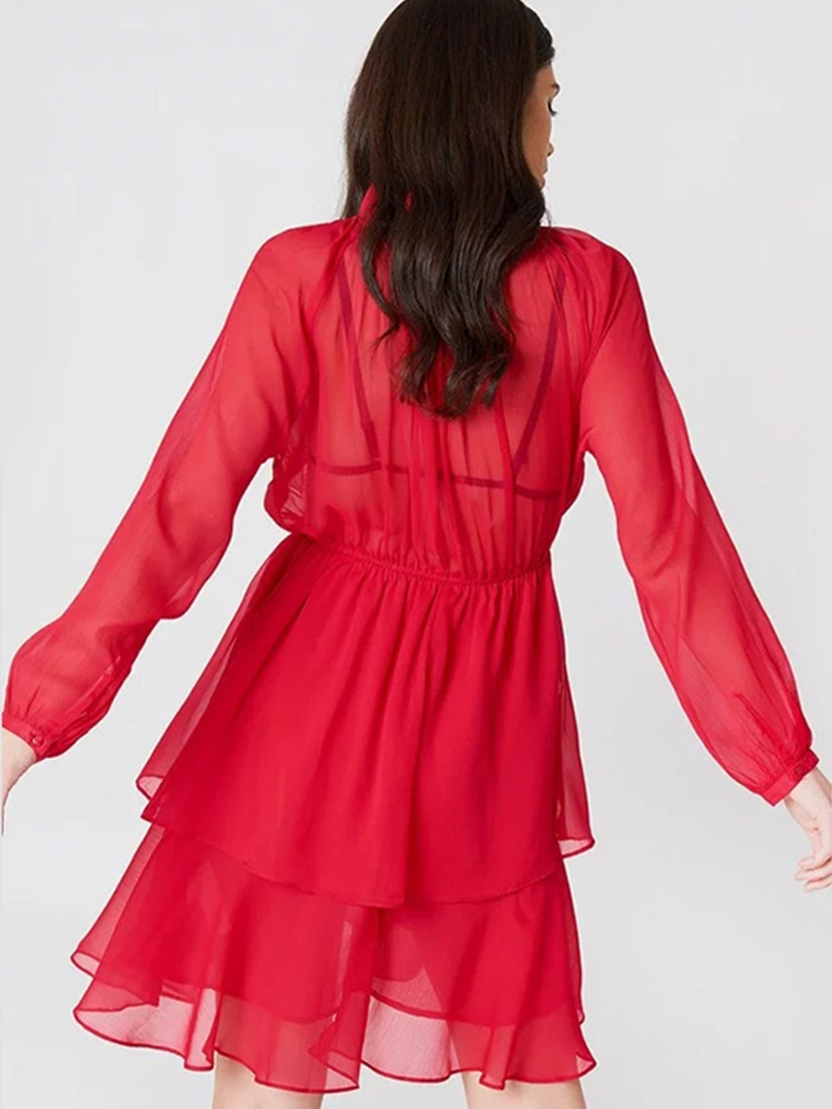 Sheer Ruffle Tie Neck Puff Sleeve Smocked Waist Tiered Mini Dress 4