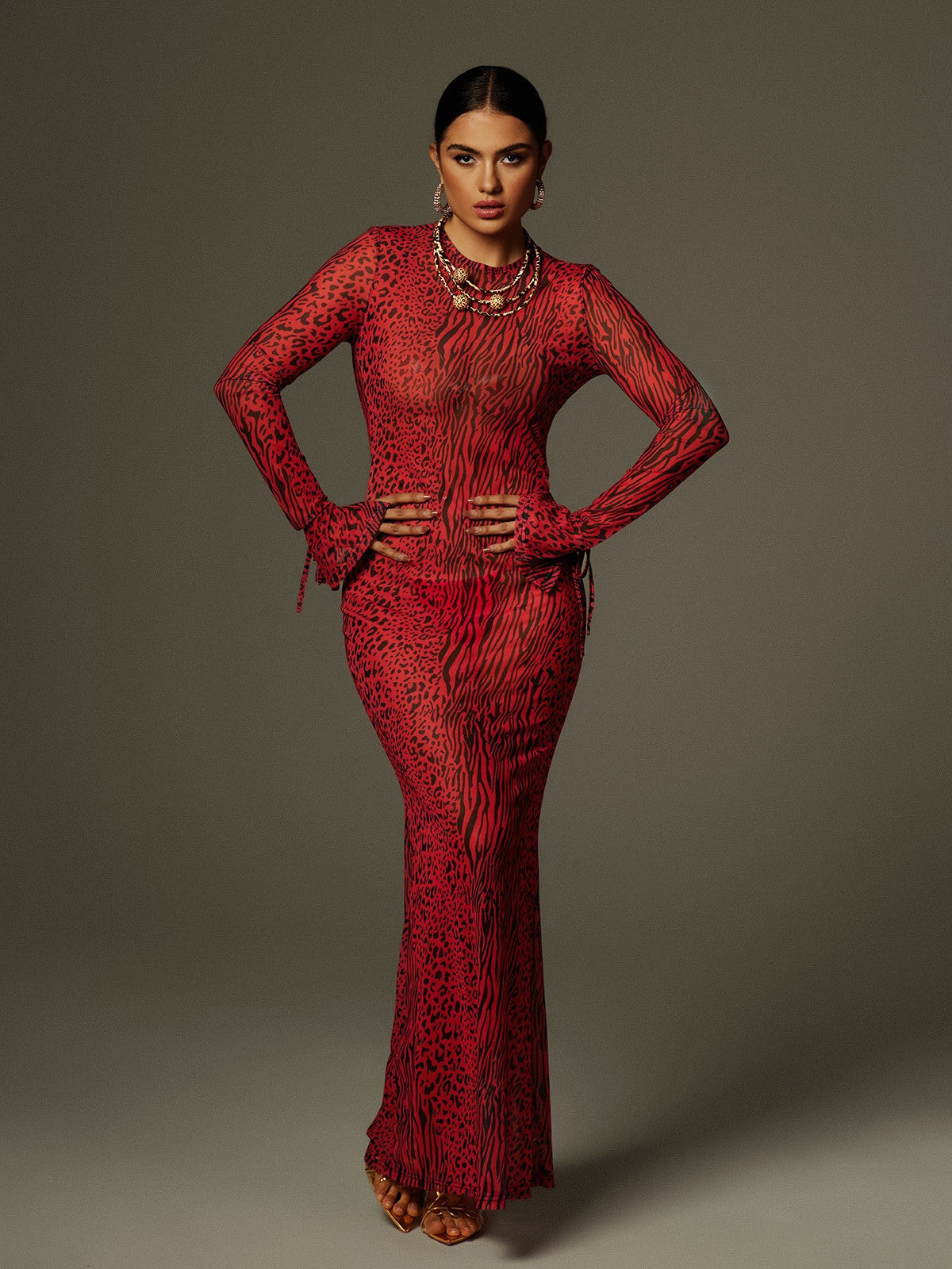 Long Sleeve Backless Print Mesh Column Maxi Dress 4