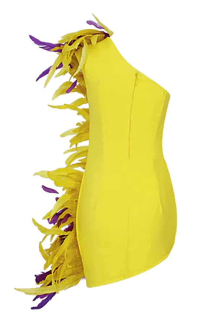One Shoulder Feather Trim Asymmetrical Hem Mini Dress 4