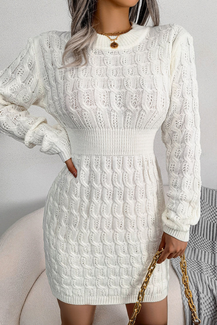 Cable Knit Crew Neck Long Sleeve Bodycon Sweater Mini Dress 3
