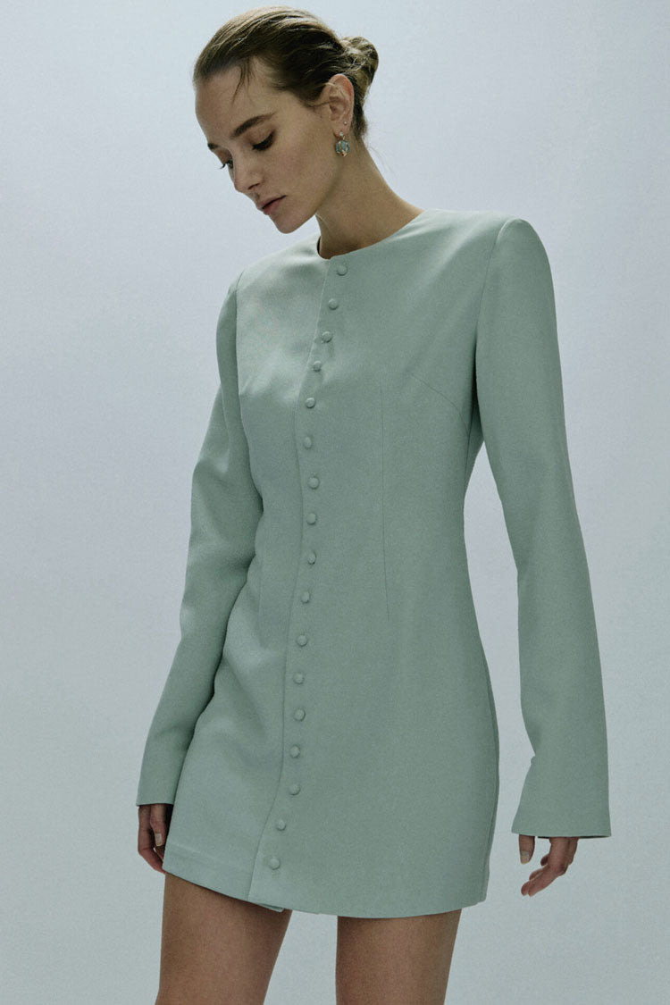 Crew Neck Single Breasted Button Front Princess Seam Mini Dress