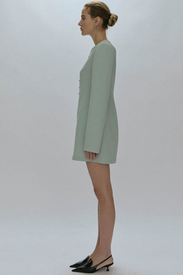 Crew Neck Single Breasted Button Front Princess Seam Mini Dress 3