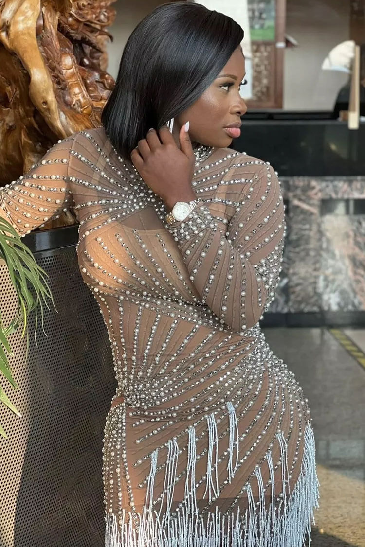Mock Neck Long Sleeve Pearl Rhinestone Radiating Fringe Sheer Mesh Mini Dress 3