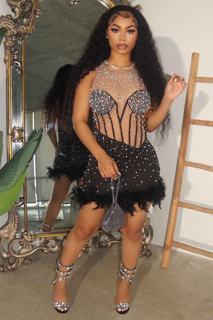 Rhinestone Mesh Corset Illusion Neckline Feather Trim Bodycon Mini Mini Dress