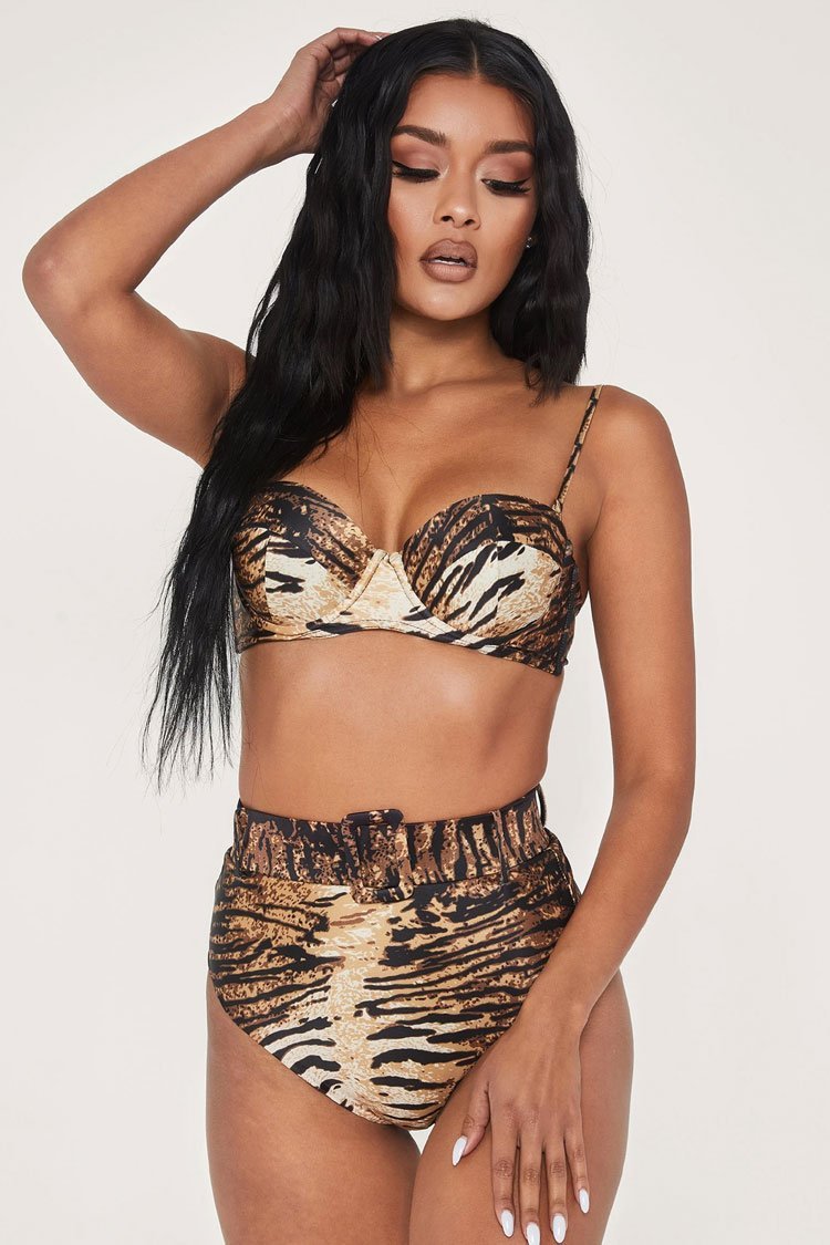 Tiger Print High Waist Push Up Bandeau Bikini Swimsuit - Two Piece Set