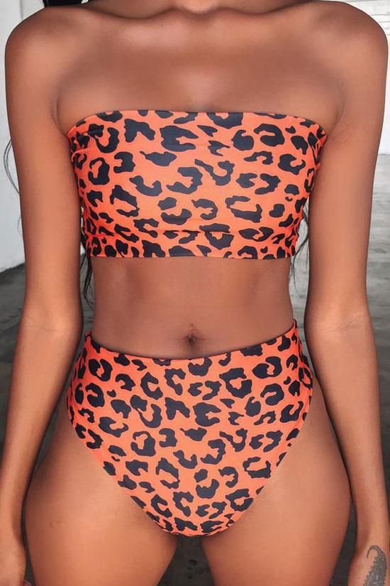 Wild High Wasited Cheetah Ruched Bandeau Bikini Swimsuit - Two Piece Set